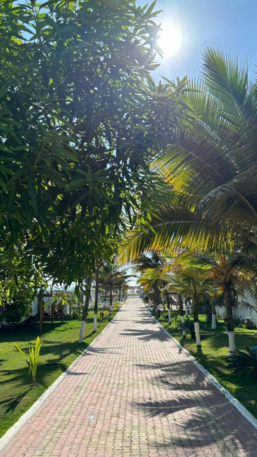 Hotel La Mar Плаяс Екстериор снимка